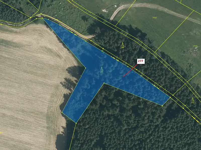 Dražba lesa 4758 m², Šebířov – náhled fotky 2
