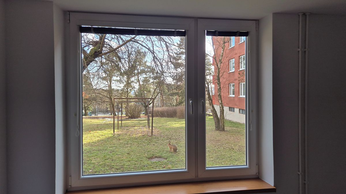 Pronájem bytu 1+kk 30 m² – fotografie 2