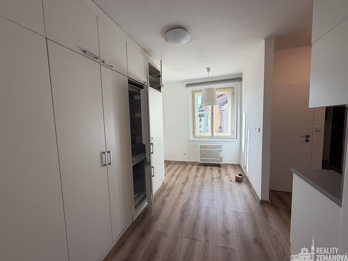 Pronájem bytu 1+1 40 m² – fotografie 4