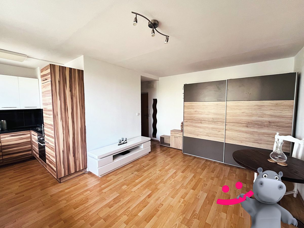 Pronájem bytu 1+kk 35 m² – fotografie 2