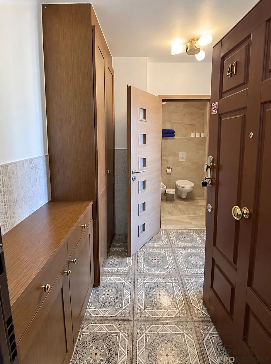 Pronájem bytu 1+kk 31 m² – fotografie 3