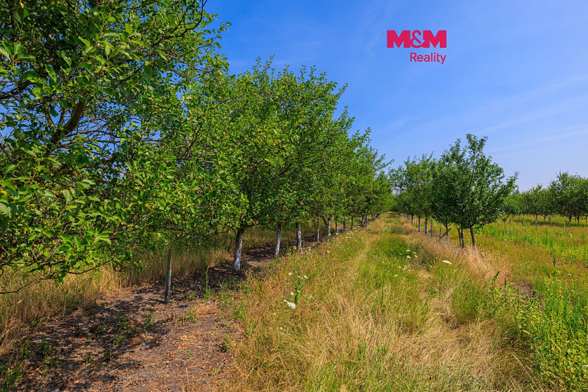 Prodej pole 53078 m², Rakvice – fotka 1 z 3