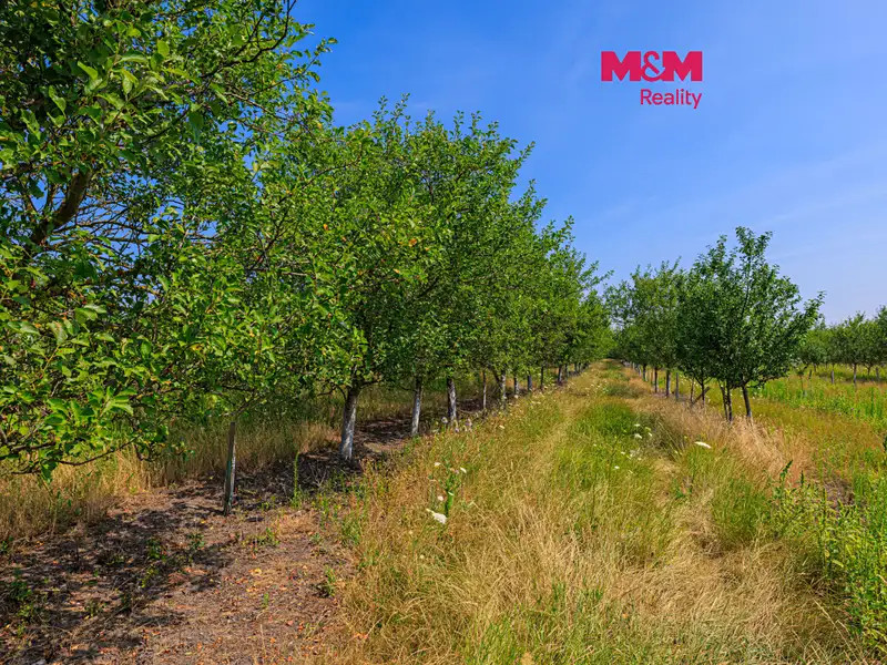 Prodej pole 53078 m², Rakvice – náhled fotky 1