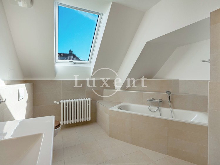 Pronájem domu, 417 m² (19 z 38)