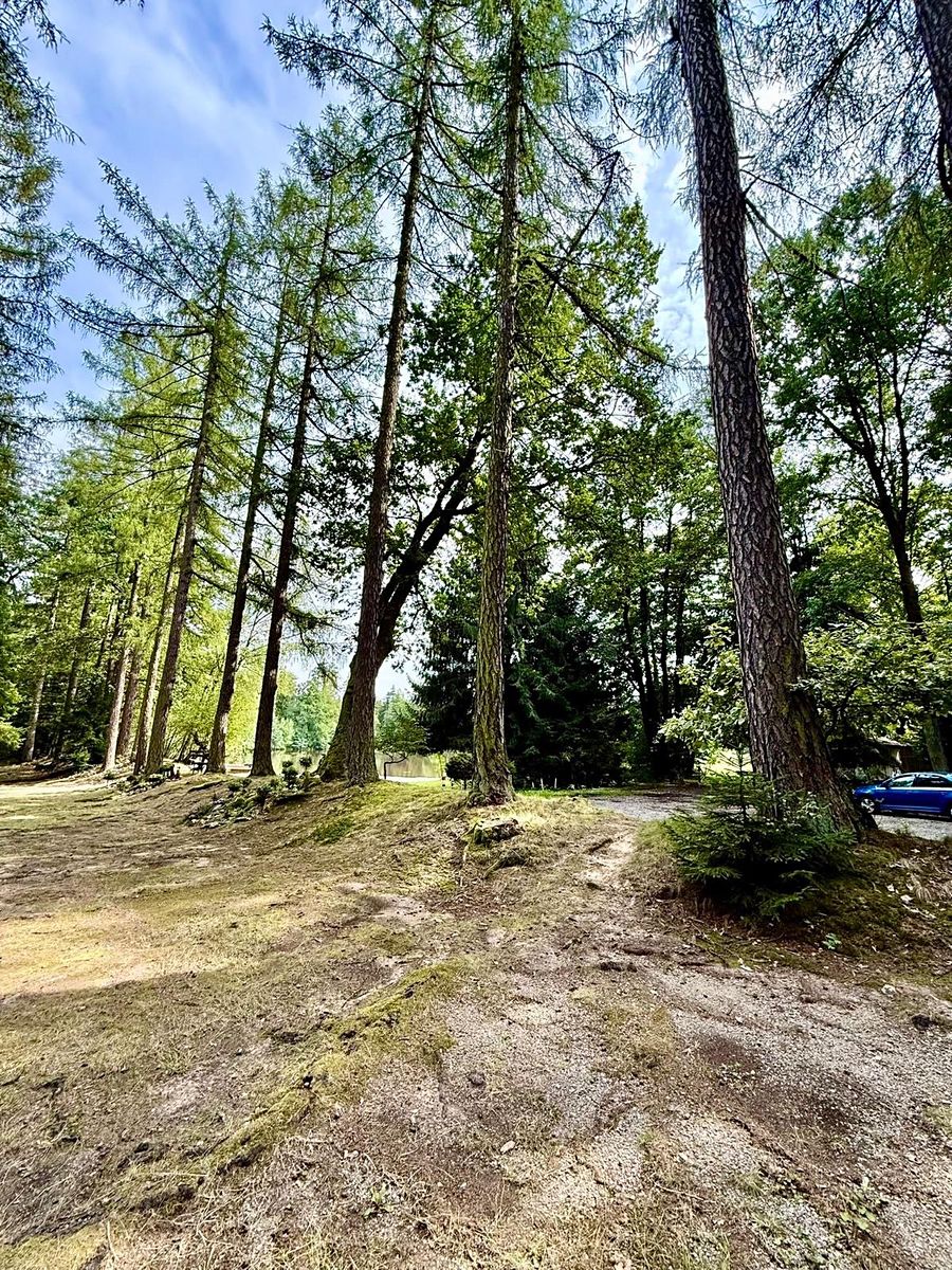 Prodej chaty 25 m², pozemek 1 m² – fotografie 4
