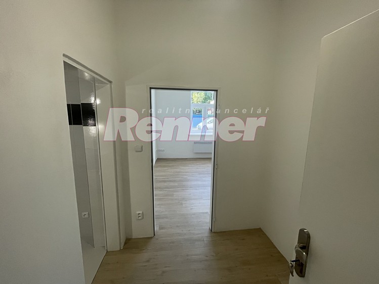 Квартира 1+1 в оренду, 44 м² (12 з 16)