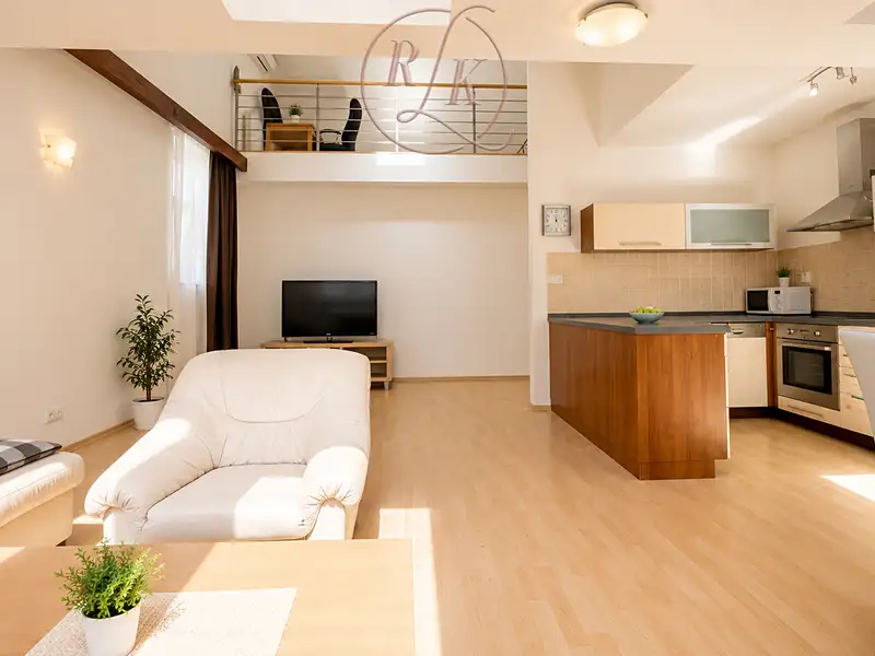 Prodej bytu 5+kk 178 m², Brno – náhled fotky 1