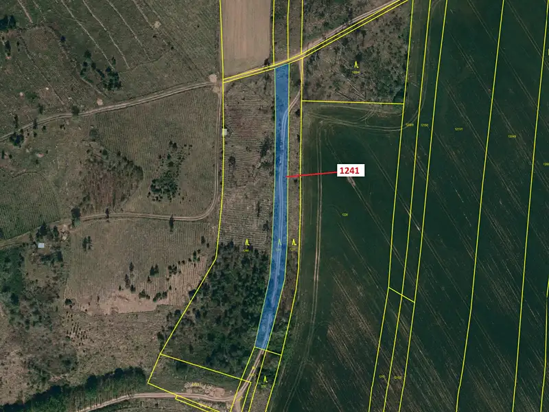 Dražba lesa 2068 m², Vladislav – náhled fotky 2