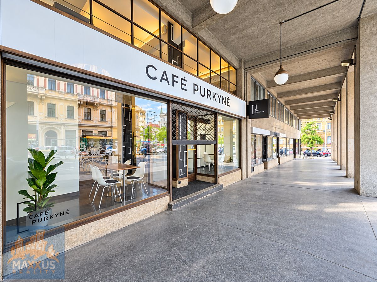 Pronájem obchodního prostoru 145 m²