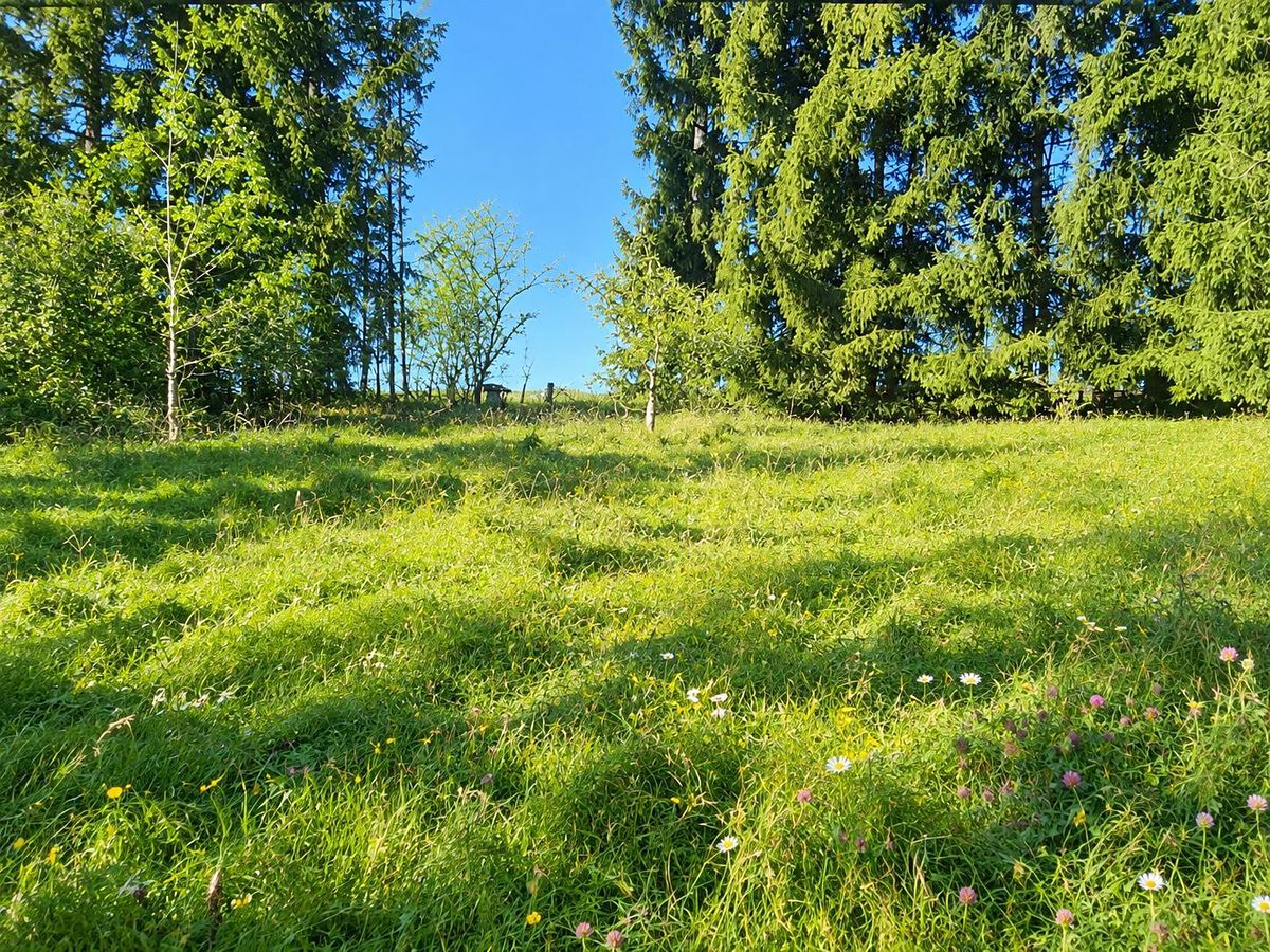 Prodej stavebního pozemku 1074 m² – fotografie 3