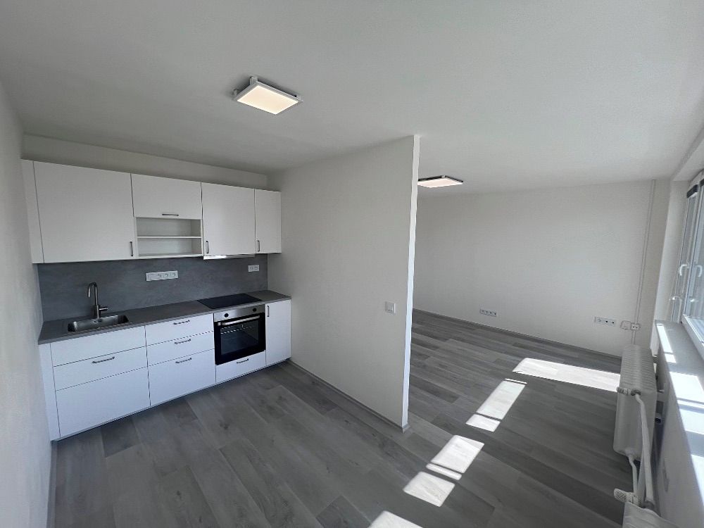 Pronájem bytu 1+1 33 m²
