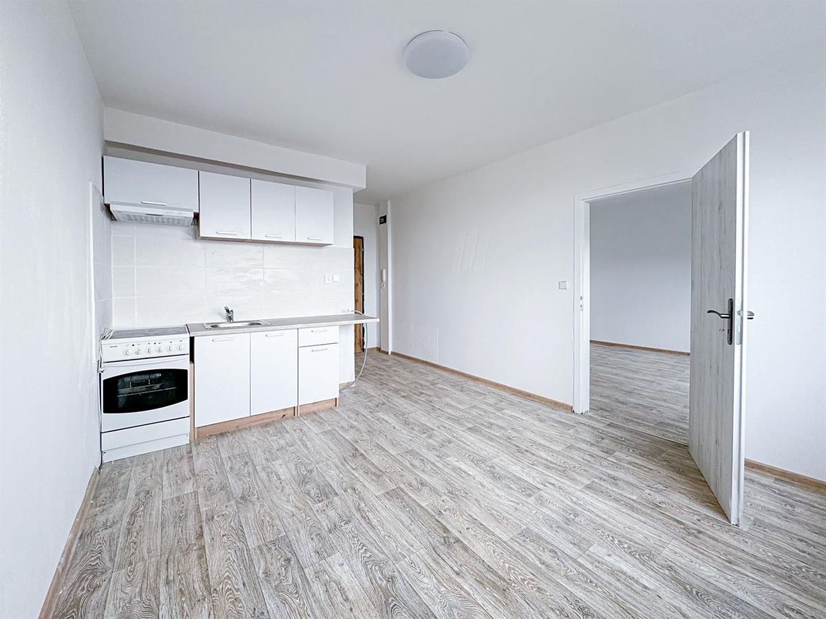Pronájem bytu 1+1 33 m² – fotografie 4