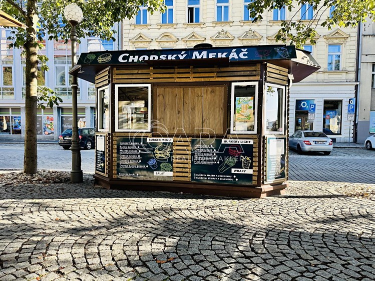 Pronájem nemovitosti, 5 m² (5 z 11)