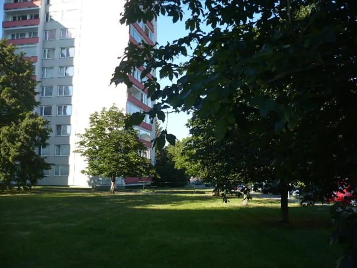 Fotka 10 z 16
