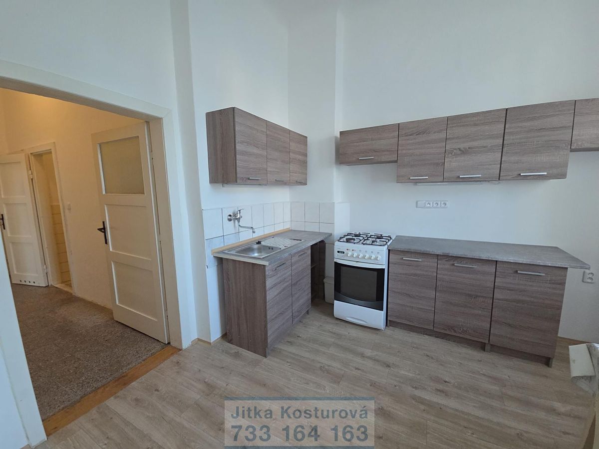 Pronájem bytu 2+1 54 m² – fotografie 4