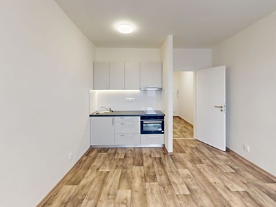 Квартира 1+kk в оренду, 30 м² (2 з 10)