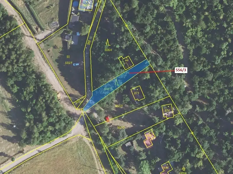 Dražba lesa 326 m², Sýkořice – náhled fotky 2