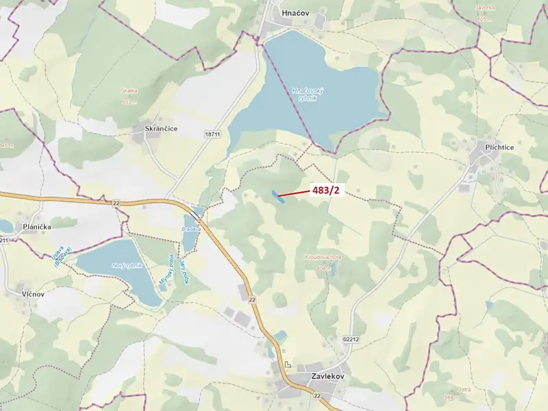 Dražba lesa 2895 m², Zavlekov – náhled fotky 1