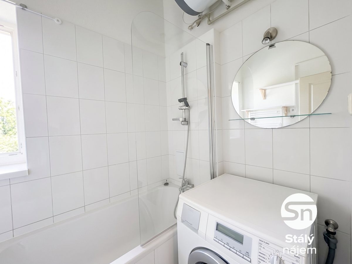Pronájem bytu 1+kk 29 m² – fotografie 3
