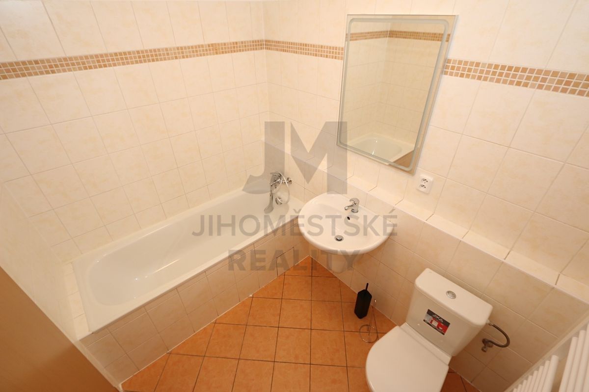 Pronájem bytu 1+kk 29 m² – fotografie 5