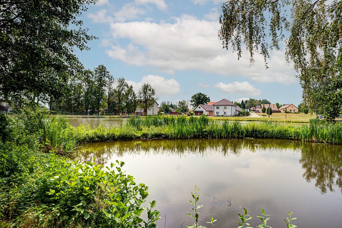 Prodej rodinného domu 125 m², pozemek 823 m² – fotografie 3