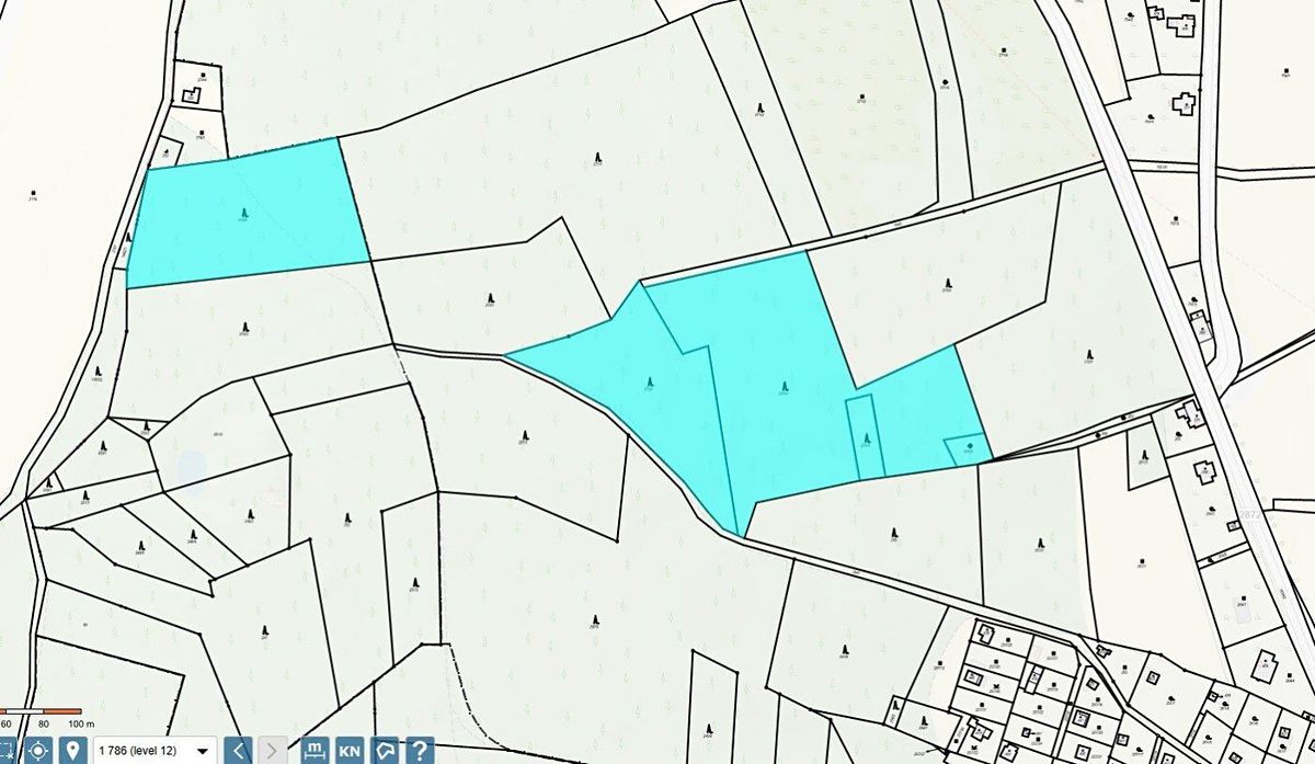Prodej lesa 26667 m² – fotografie 3