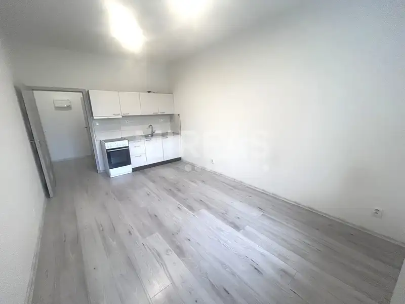 Pronájem bytu 1+kk 25 m², Milovice – náhled fotky 3
