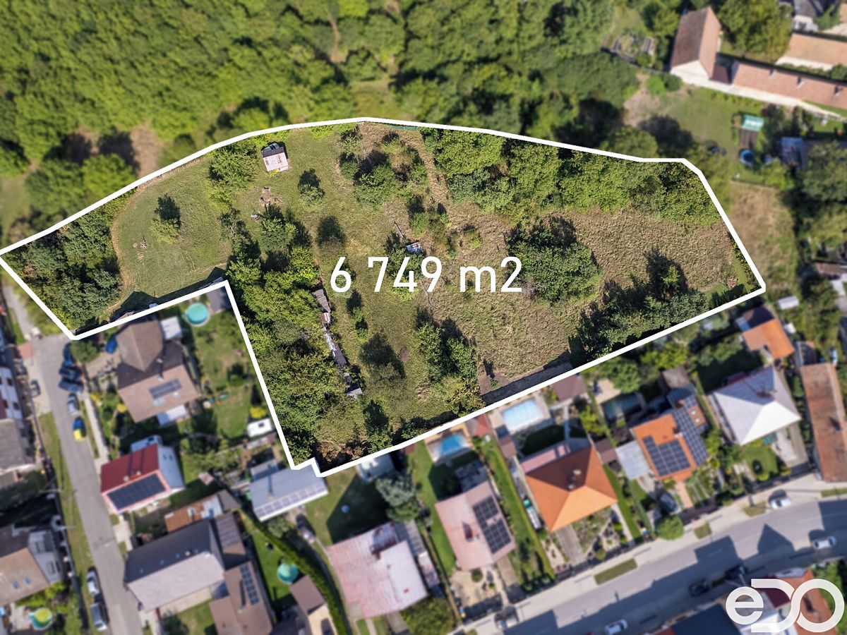 Prodej stavebního pozemku 6749 m² – fotografie 5