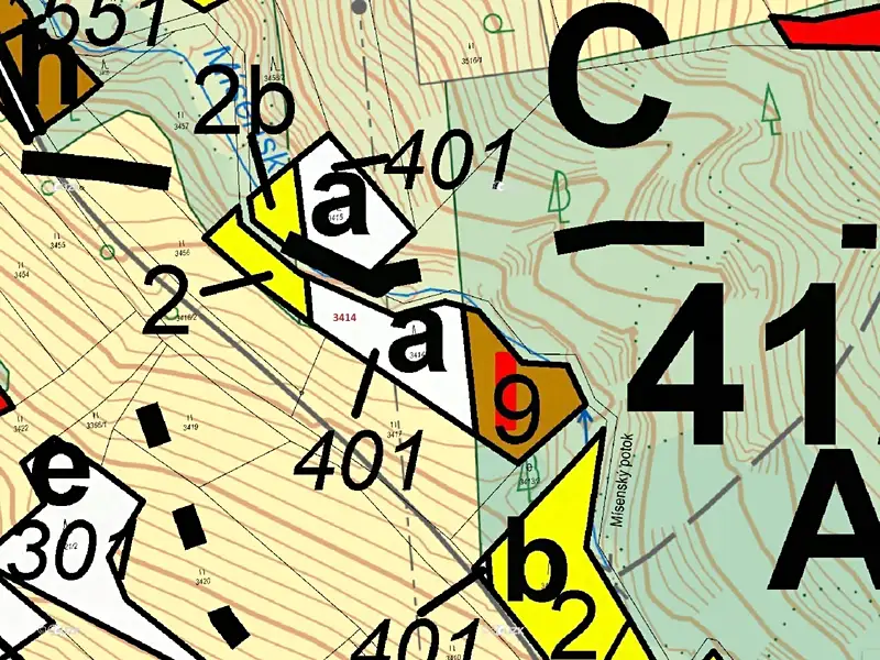 Dražba lesa 2122 m², Zděchov – náhled fotky 3