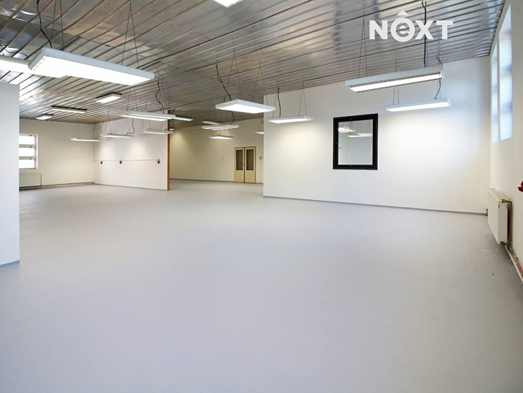 Gewerbefläche zur Miete, 276 m² (2 von 13)