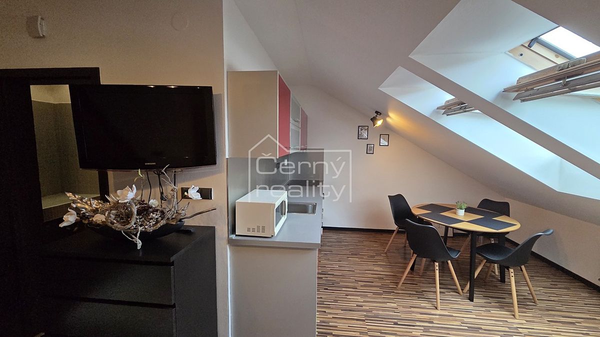 Pronájem bytu 1+kk 50 m²