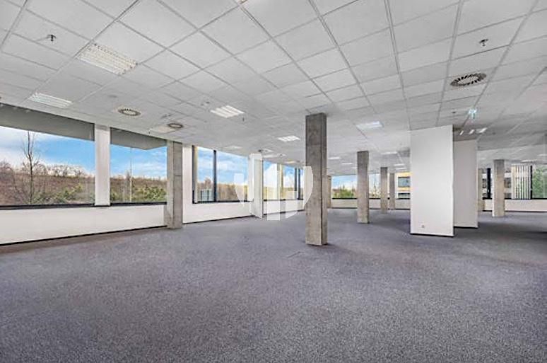 Pronájem kanceláře 1000 m² – fotografie 3