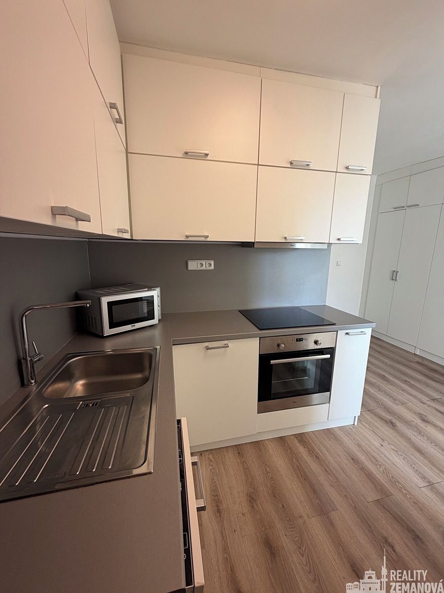 Pronájem bytu 1+1 40 m² – fotografie 5