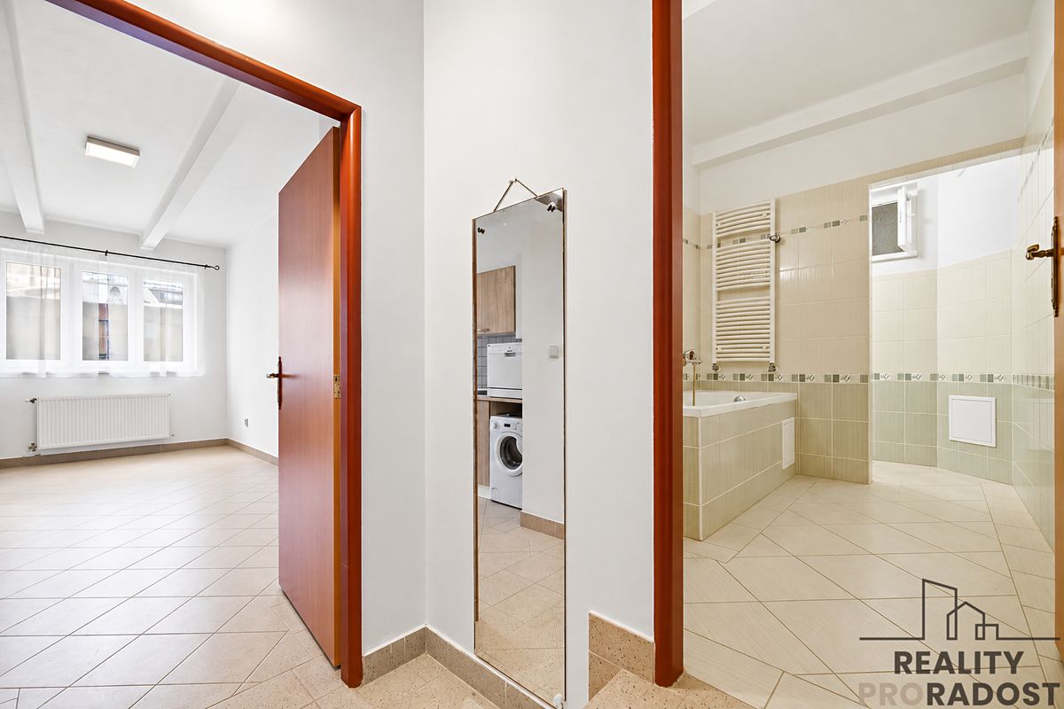 Pronájem bytu 2+kk 55 m² – fotografie 4