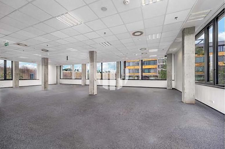 Pronájem kanceláře 566 m² – fotografie 5