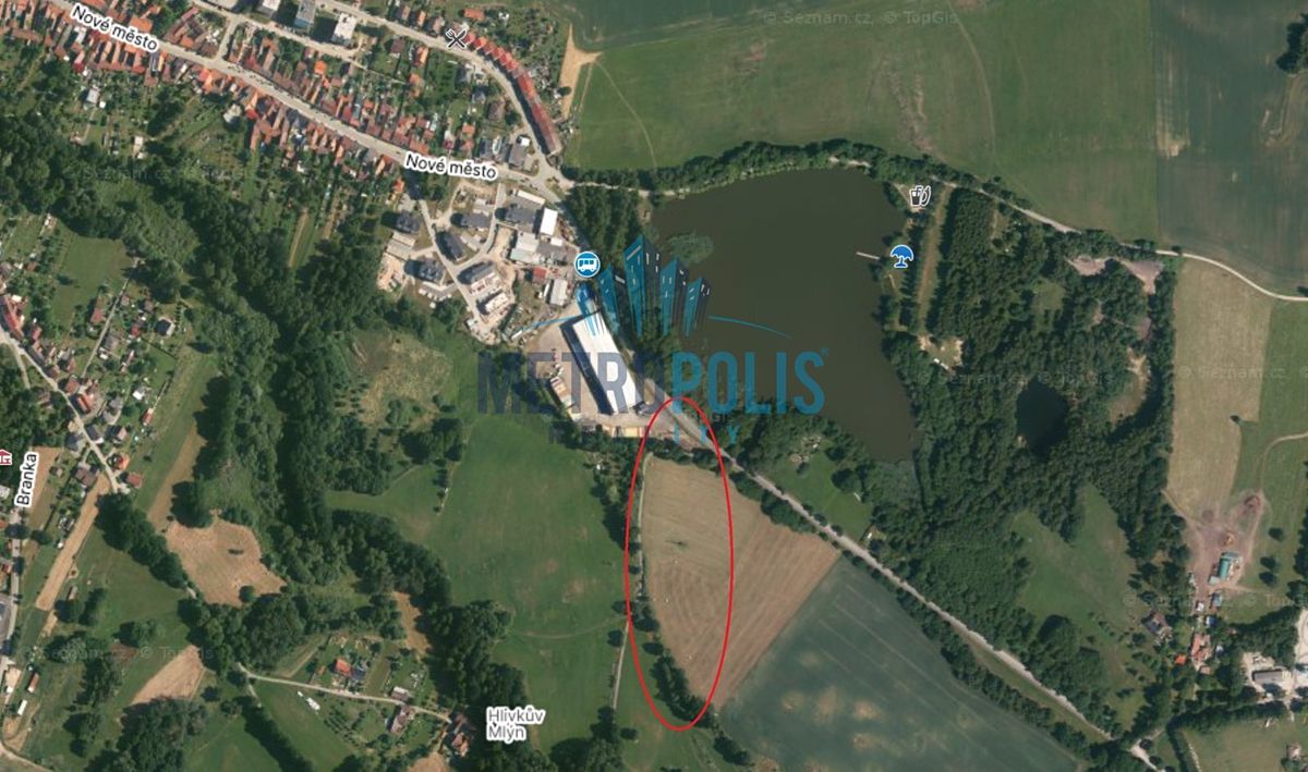 Prodej pole 3717 m²
