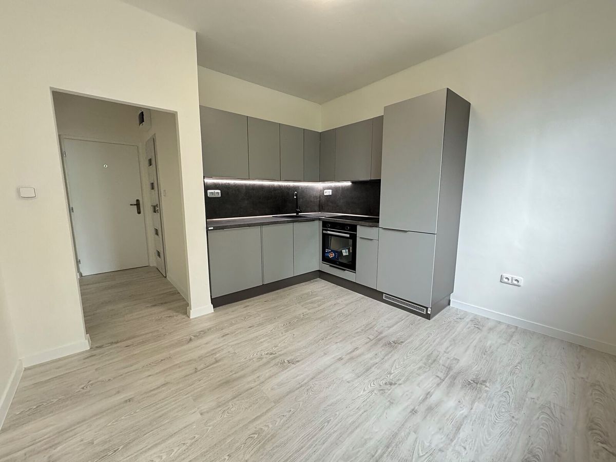 Pronájem bytu 1+1 42 m²