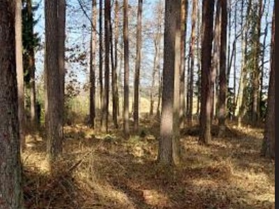 Grundstück zum Kauf, 12.572 m² (2 von 8)