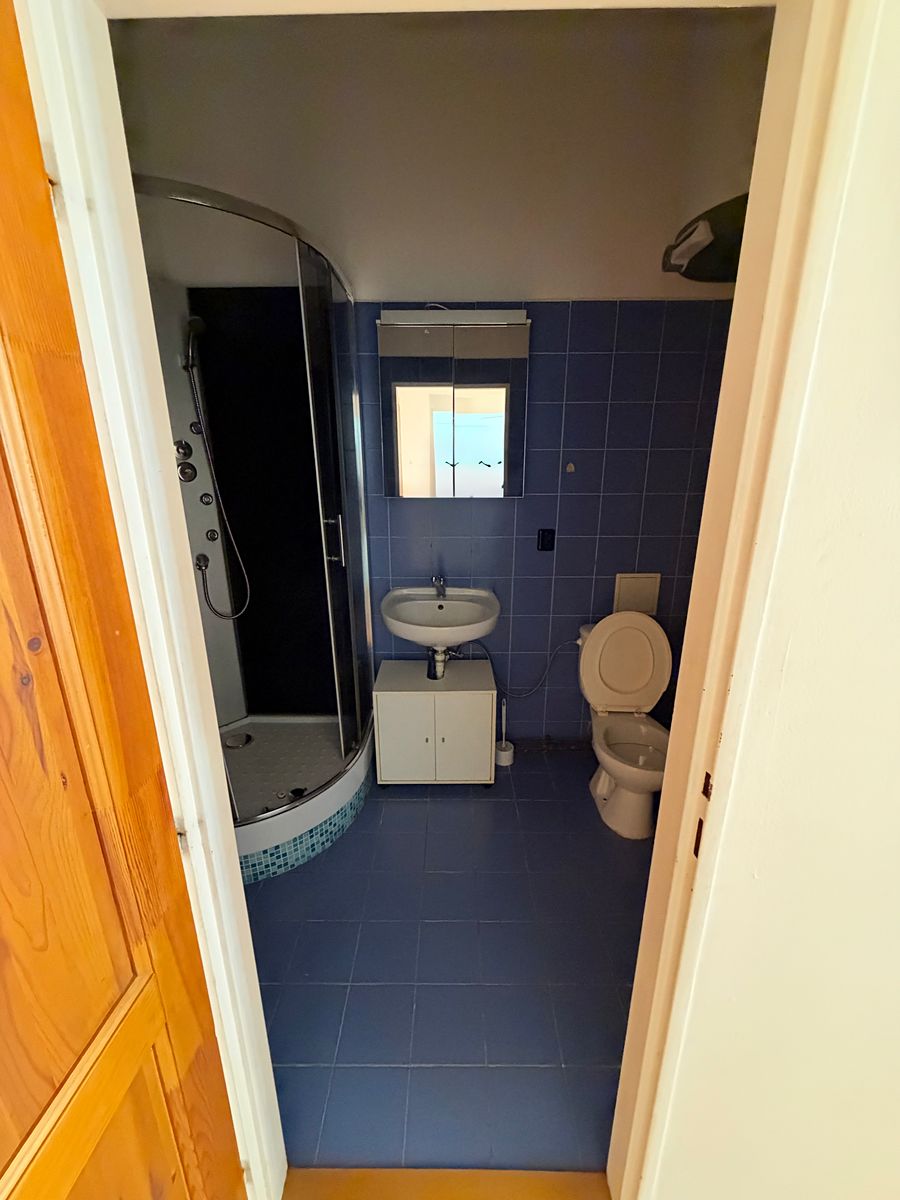 Pronájem bytu 1+1 45 m² – fotografie 4