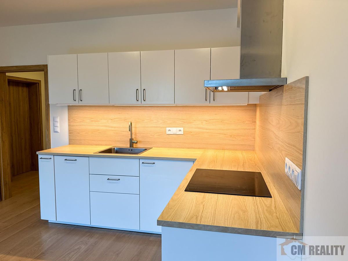 Pronájem bytu 2+kk 56 m² – fotografie 5