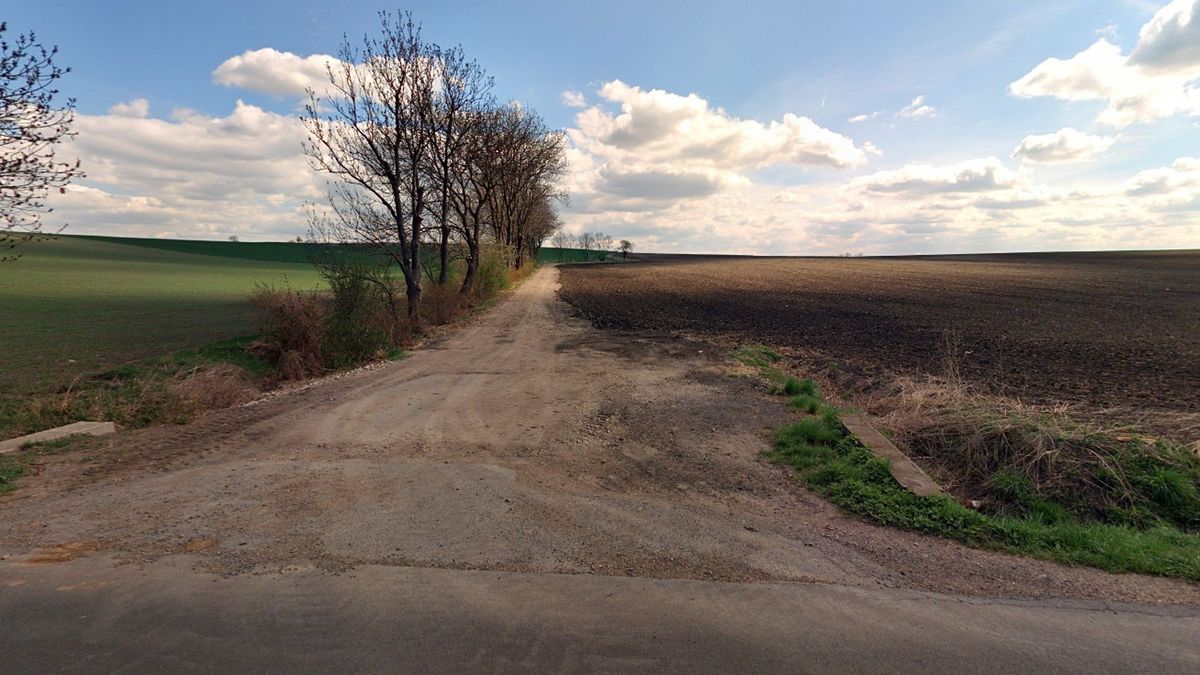 Prodej pole 5081 m² – fotografie 2