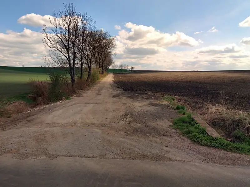 Prodej pole 5081 m², Chotěšov – náhled fotky 2