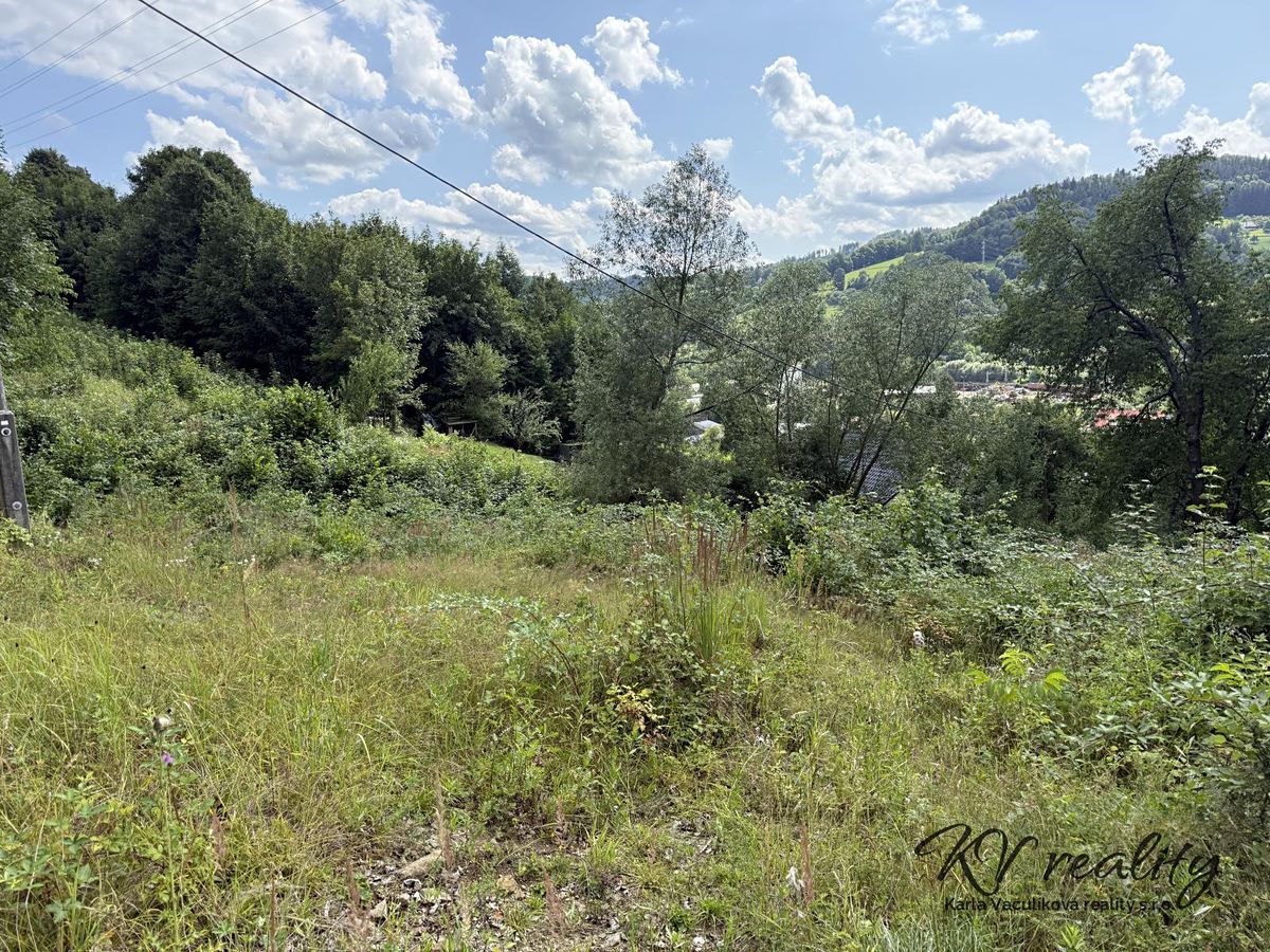 Prodej stavebního pozemku 2186 m² – fotografie 3