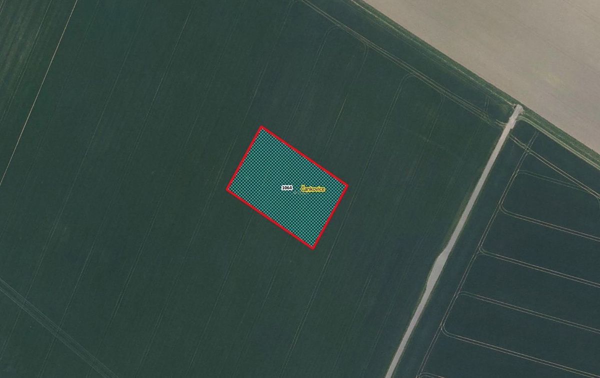 Prodej pole 4922 m², Čankovice – fotka 1 z 3
