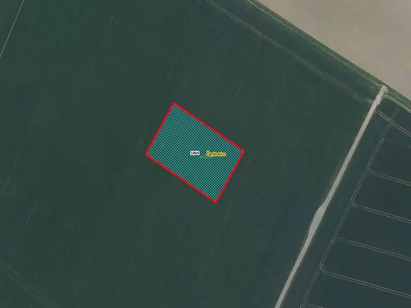 Prodej pole 4922 m², Čankovice – náhled fotky 1