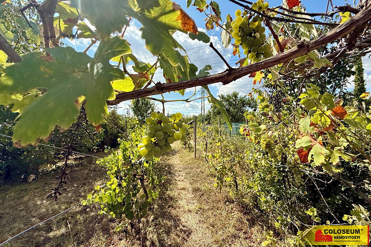 Prodej chaty 30 m², pozemek 445 m² – fotografie 2