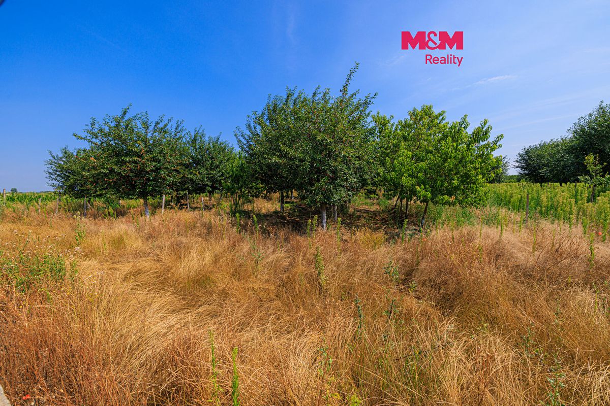 Prodej pole 21280 m², Rakvice – fotka 1 z 3