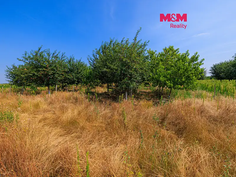 Prodej pole 21280 m², Rakvice – náhled fotky 1