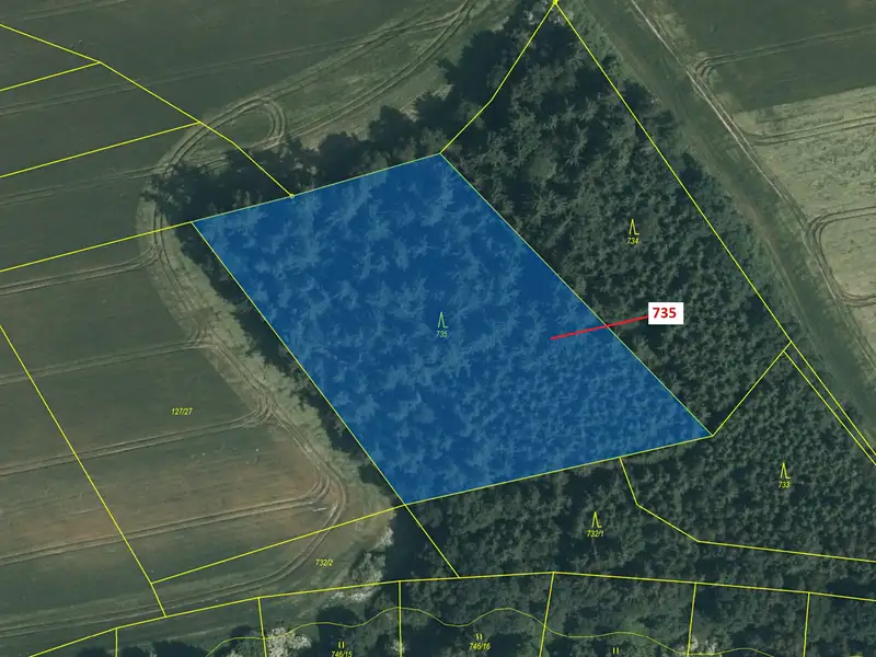 Dražba lesa 6963 m², Zvěstov – náhled fotky 2