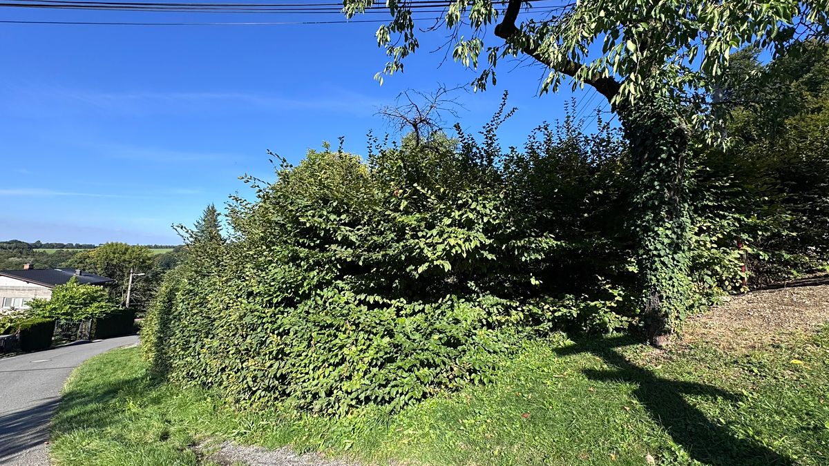 Prodej stavebního pozemku 1122 m² – fotografie 4